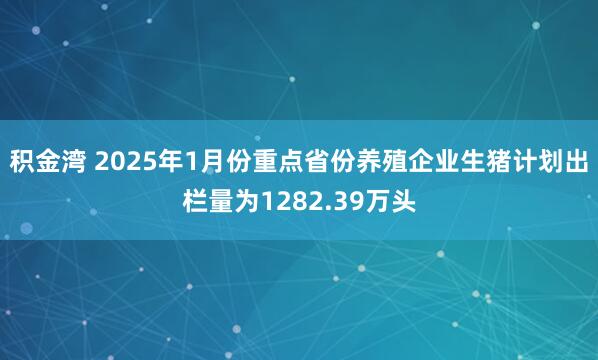 积金湾 2025年1月份重点省份养殖企业生猪计划出栏量为1282.39万头