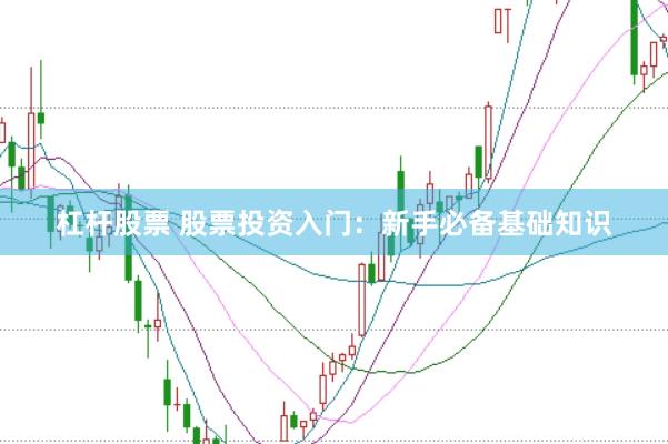杠杆股票 股票投资入门：新手必备基础知识