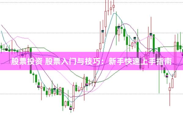 股票投资 股票入门与技巧:新手快速上手指南