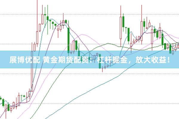 展博优配 黄金期货配资：杠杆掘金，放大收益！