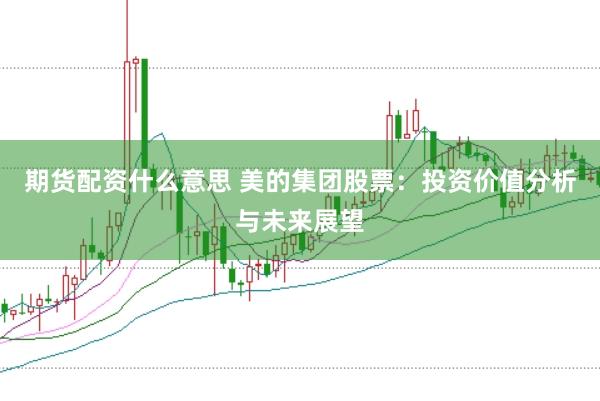 期货配资什么意思 美的集团股票：投资价值分析与未来展望