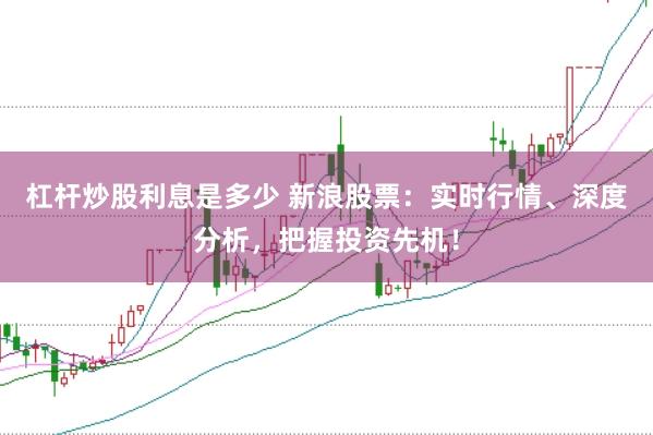 杠杆炒股利息是多少 新浪股票:实时行情、深度分析,把握投资先机!