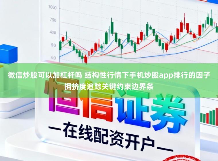 微信炒股可以加杠杆吗 结构性行情下手机炒股app排行的因子拥挤度追踪关键约束边界条